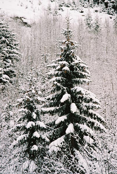 winter2004gerlos110F1020004_