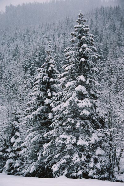 winter2004gerlos115F1020026