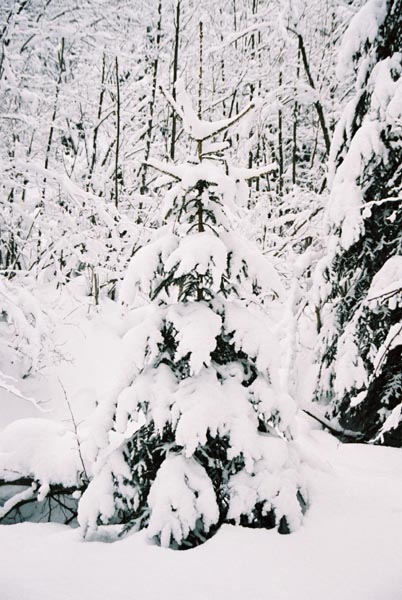 winter2004gerlos118F1020003