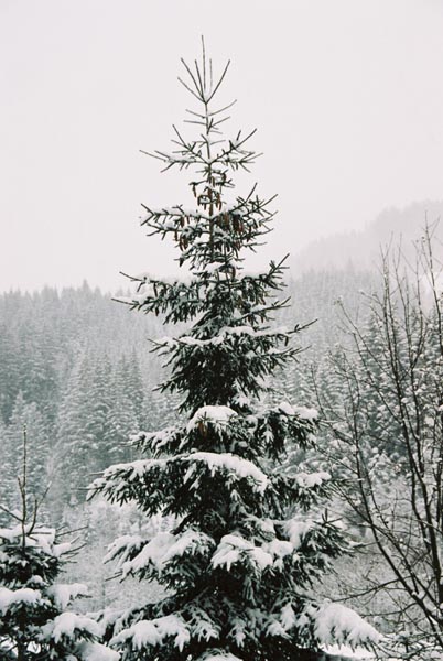 winter2004gerlos119F1020036