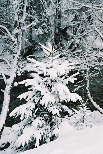 winter2004gerlos122F1010002