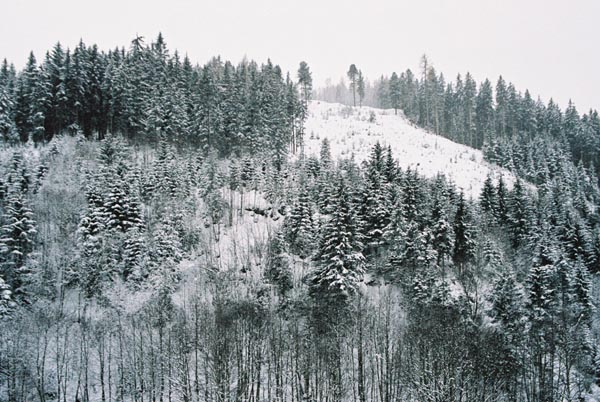 winter2004gerlos128F1010001_