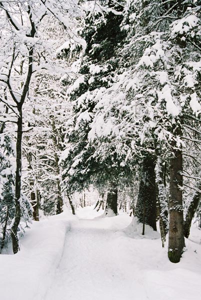 winter2004gerlos140F1020001