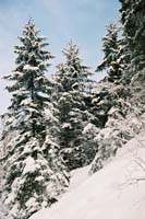 winter2004gerlos103F1000028_