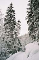 winter2004gerlos105F1020006_