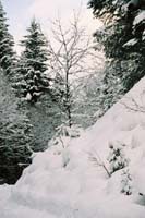 winter2004gerlos108F1000024_