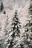 winter2004gerlos109F1000027_