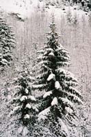 winter2004gerlos110F1020004_