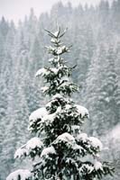 winter2004gerlos113F1020035_