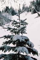 winter2004gerlos117F1000033