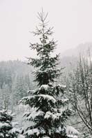 winter2004gerlos119F1020036