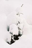 winter2004gerlos120F1000025
