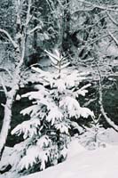 winter2004gerlos122F1010002