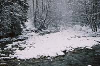 winter2004gerlos125F1020024