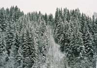 winter2004gerlos130F1010004_