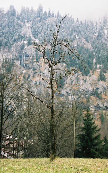 bb01-interlaken107F1000014_