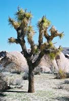 bc01-jtnp105F1000017_