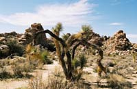 bc02-jtnp109F1010018_